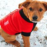 Highline Fleece Dog Coat - Red and Black with Rolling Bones