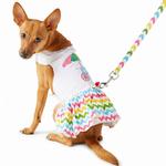 Ice Cream Cart Dress with Matching Leash
