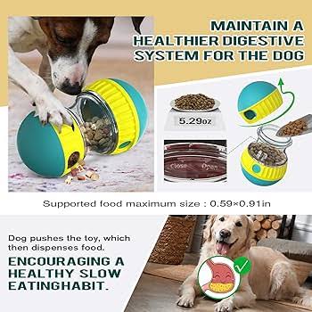 Dog Puzzle Toy