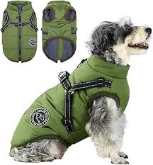 Chest Strap Jacket Cotton-padded Coat