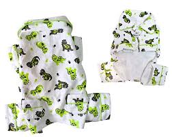 Playful Dinosaur Flannel Pajamas