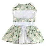 Mint Green Daisy Dog Dress with Matching Leash