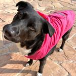 Packable Raincoat - Pink