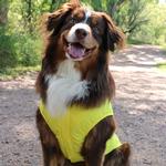 Packable Raincoat - Yellow