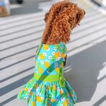 Pineapple Luau Dog Harness Dress with Matching Leash