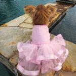 Pink Lace & Ruffles Dog Dress with Matching Leash