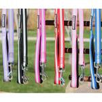 Reflective Nylon Leash with Soft Grip Handle - 3/4 in. Wide x 5 ft. Long