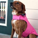 Reversible Fleece Lined Puffer Dog Coat - Pink Plaid