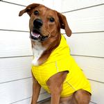 Slicker Raincoat with Striped Lining - Yellow