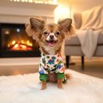 Soft Dog Pajamas - Dinos