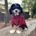 Soft Plush Pullover - Burgundy