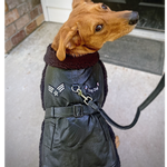 Top Dog Flight Harness Coat - Black