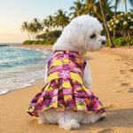 Tropical Sunset Dog Dress with Matching Leash