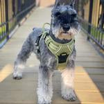 Venture Paw Pull Control Dog Harness - Aspen