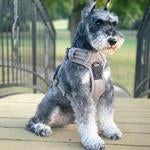 Venture Paw Pull Control Dog Harness - Dried Sage
