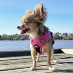 Venture Paw Pull Control Dog Harness - Sugar Rush Pink