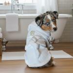 White Gold Crown Cotton Dog Bathrobe