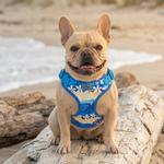 Wrap and Snap Choke Free Dog Harness - Catching Waves