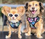 Wrap and Snap Choke Free Dog Harness - Paradise Nights